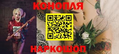 мяу мяу мука Краснознаменск