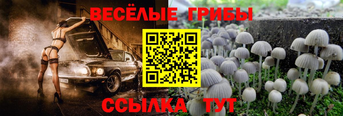 Холмск  Галлюциногенные грибы Magic Shrooms  купить  цена  Галлюциногенные грибы прущие грибы  Вход с VPN 