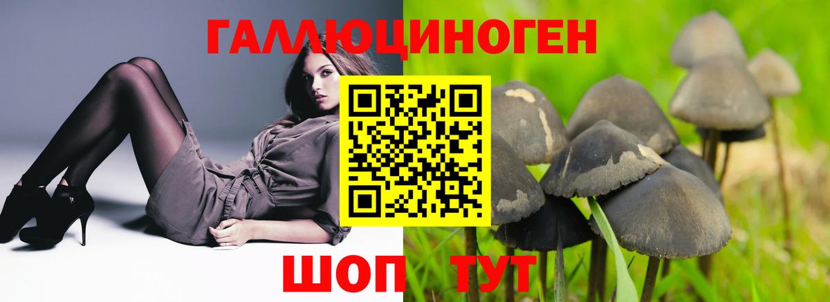 A PVP Холмск